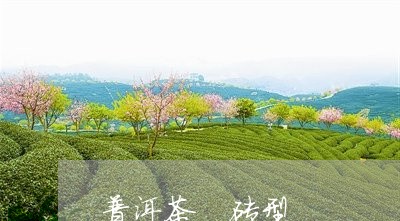 普洱茶 砖型/2023091310465